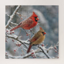 Suche nach kardinal puzzle Winter