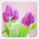 Suche nach lila tulpen aufkleber Blume