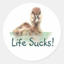 Suche nach lustige enten aufkleber Für alle