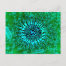 Suche nach polymer postkarten Mikrobiologie