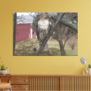 Suche nach falke leinwandbilder Tierwelt