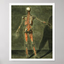 Suche nach bedingung poster D'agoty