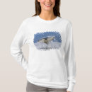 Suche nach schwanzflosse Johnstone strait
