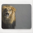 Suche nach brüllend mousepads Wild lebende tiere
