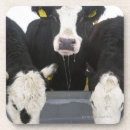 Suche nach zusammengehörigkeit untersetzer Landwirtschaft