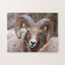 Suche nach sheep puzzle Grenze danita