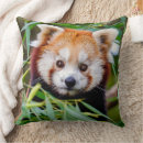 Suche nach roter panda kissen Jedes kind