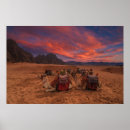 Suche nach camel poster Sand