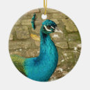 Suche nach schöner pfau ornamente Grün