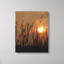 Suche nach weizen kunst Sonnenuntergang