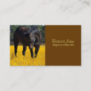 Suche nach bayern visitenkarten Pferd