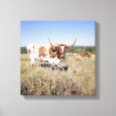 Suche nach longhorn leinwandbilder Texas