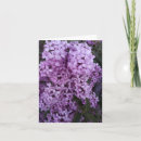 Suche nach lilac flowers karten Natur