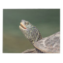 Suche nach reptilien notizblock Natur