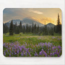 Suche nach gary mousepads Usa