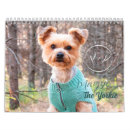 Suche nach yorkie kalender Hund