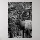 Suche nach elch poster Hirsch