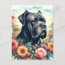 Suche nach cane corso postkarten Rohrkorso