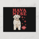 Suche nach havaneser postkarten Havanisch