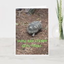 Suche nach schildkröten kleine grußkarten Jede person