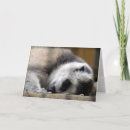 Suche nach lemur karten Foto