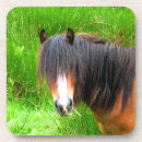 Suche nach ponys untersetzer Jede person