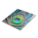 Suche nach bunter vogel fliesen Modern