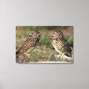 Suche nach jaynes galerie leinwandbilder Von nahem