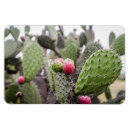 Suche nach essbar magnete Frucht