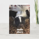 Suche nach stinken karten Jede person