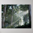 Suche nach kaugummi poster Baum