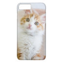 Suche nach adoption iphone hüllen Katze