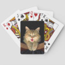 Suche nach verrückte katze spielkarten Niedlich