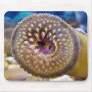 Suche nach mund mousepads Jede person