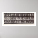 Suche nach muybridge poster Fotografie