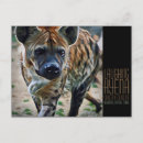 Suche nach hyena postkarten Tier