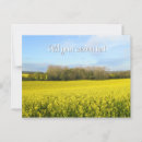 Suche nach blume des landes postkarten Jede person