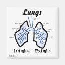 Suche nach lunge magnete Anatomie