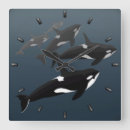Suche nach orca wanduhren Wale