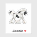 Suche nach pinto aufkleber Pony