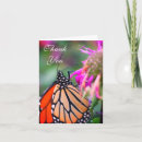 Suche nach orange schmetterling karten Fotografie