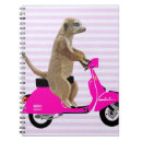 Suche nach moped geschenke Meerkat