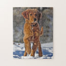Suche nach hund im schnee puzzle Tier