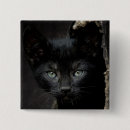 Suche nach katze mit grünen augen buttons Tiere