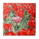 Suche nach kansas fliesen Blume