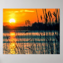 Suche nach schilfe poster Sonnenuntergang