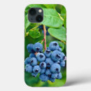 Suche nach reif iphone hüllen Für alle