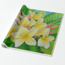 Suche nach frangipani geschenkpapier Botanisch