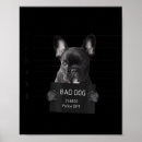 Suche nach frenchie poster Französisch