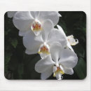 Suche nach weiße orchidee mousepads Natur
